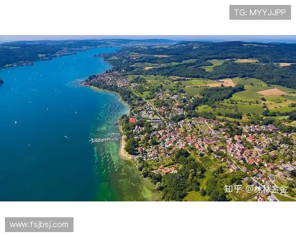 德国与奥地利深化合作，积极应对能源与气候挑战的趋势分析