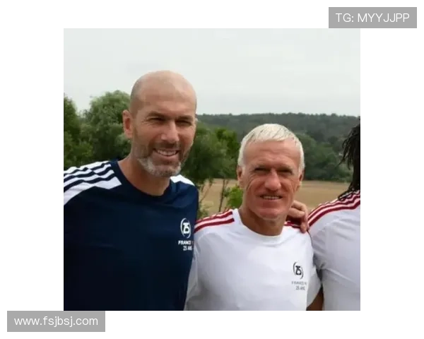 齐达内球队表现分析